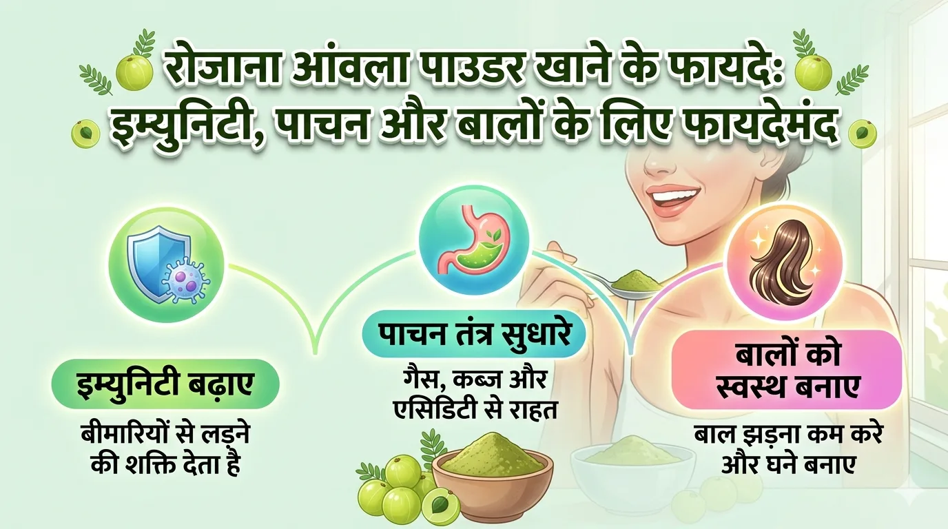 रोजाना आंवला पाउडर खाने के फायदे: इम्युनिटी, पाचन और बालों के लिए फायदेमंद :-