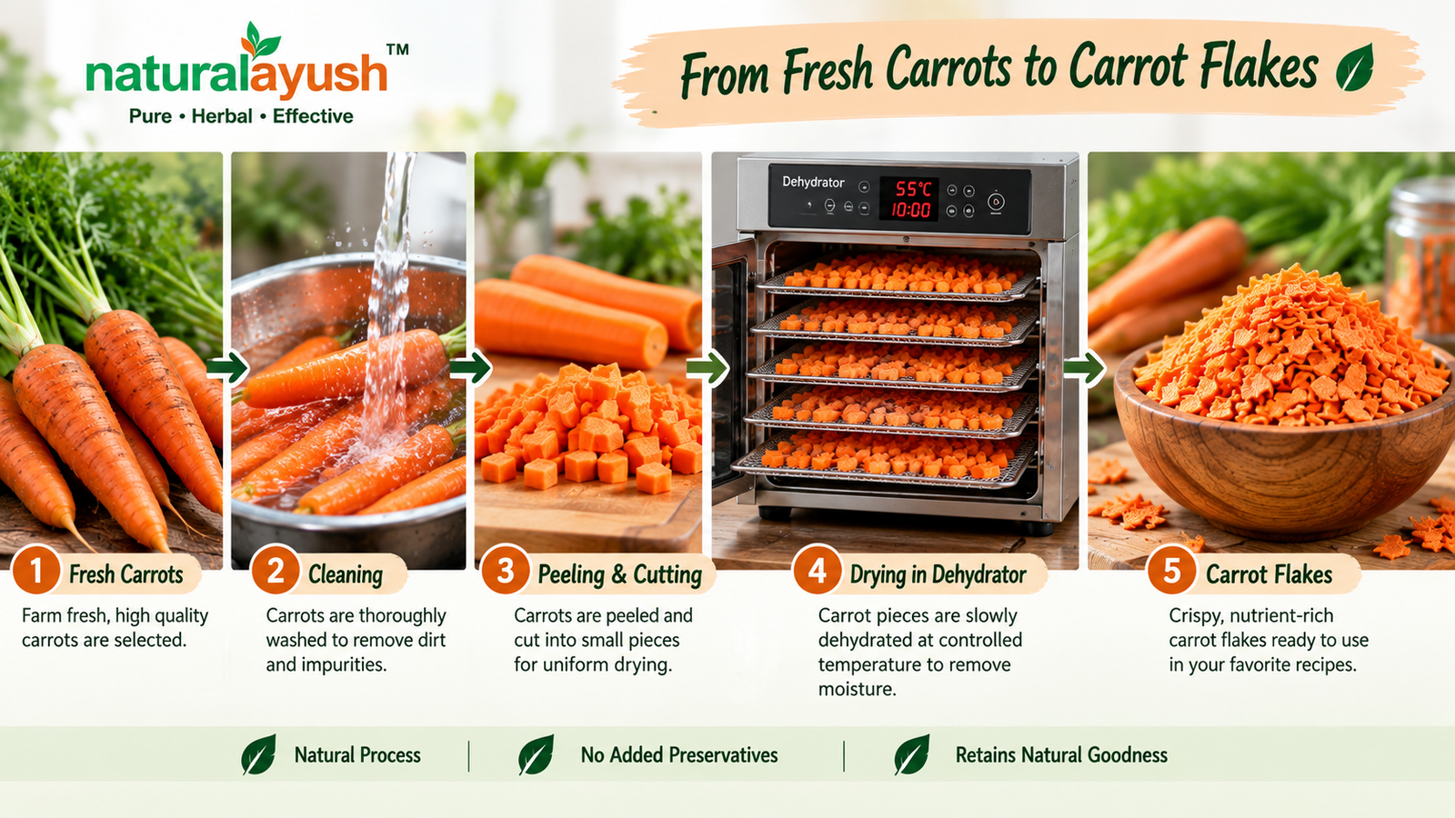 Carrot Flakes (Daucus carota) photo 3