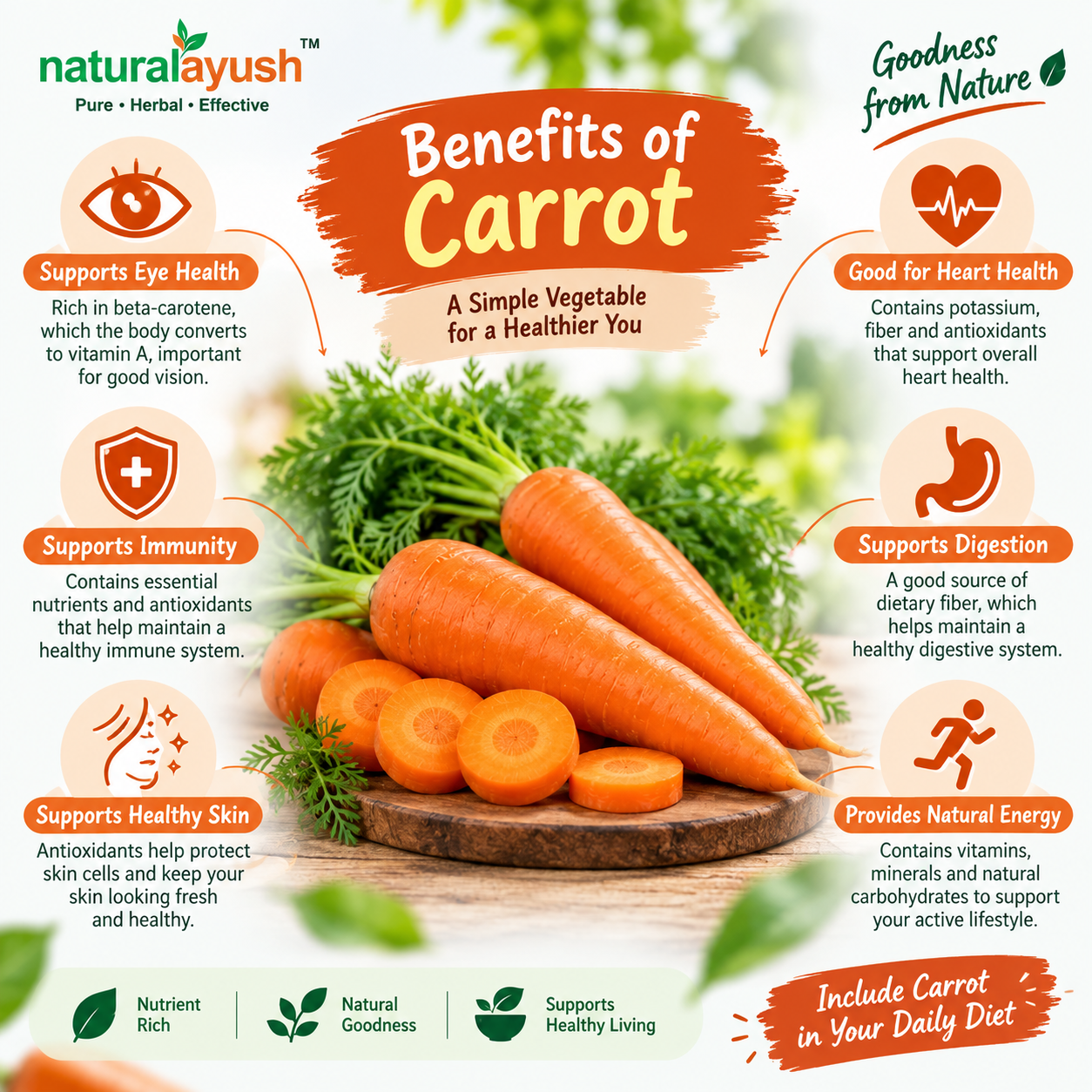 Carrot Powder (Daucus carota) thumbnail 5