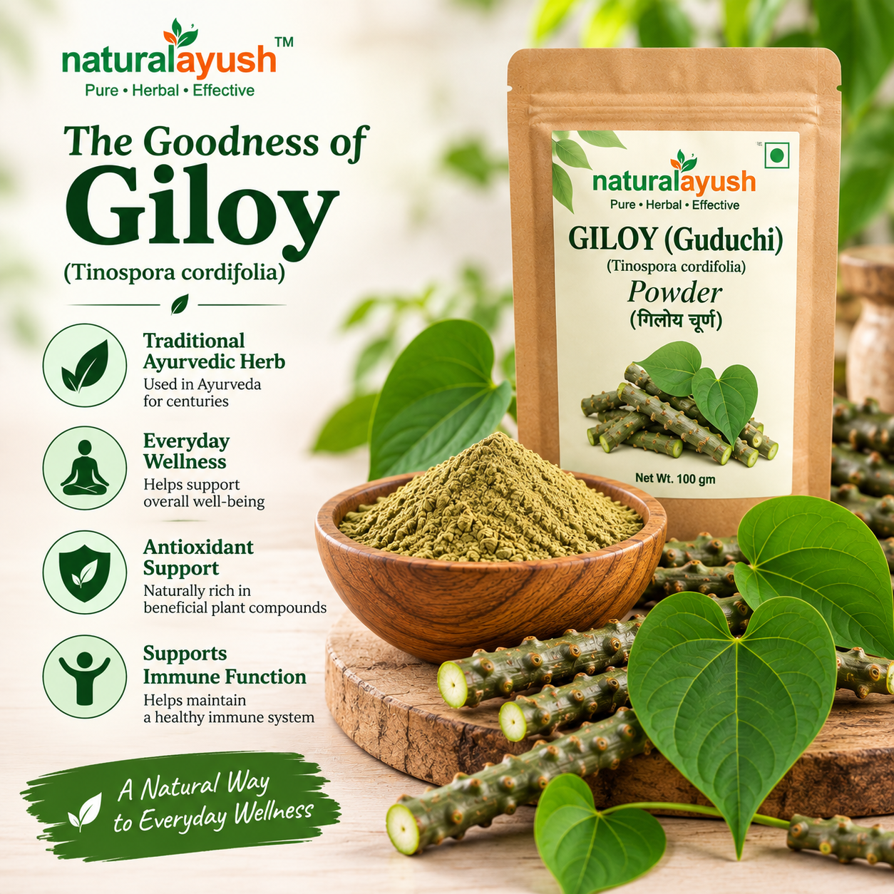 Giloy Powder (Tinospora cordifolia) thumbnail 3
