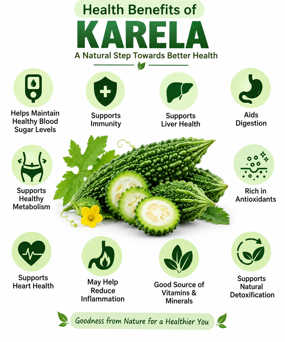 Karela (Momordica charantia) Powder thumbnail 4