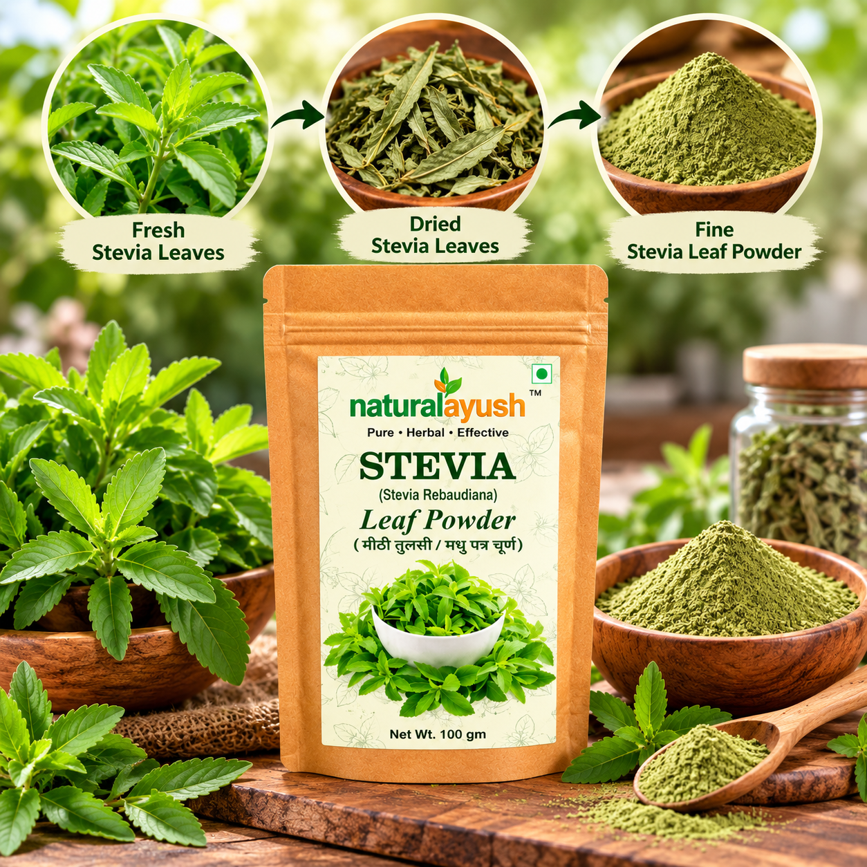 Stevia Powder (Stevia rebaudiana) thumbnail 6