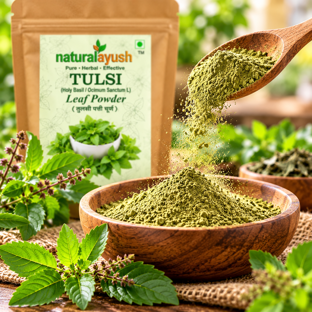 Tulsi Powder (Ocimum tenuiflorum) thumbnail 5