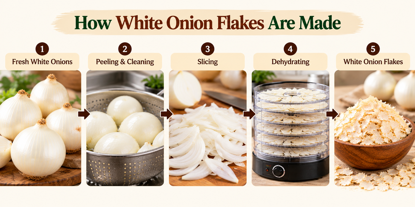 White Onion Flakes (Allium cepa) photo 3